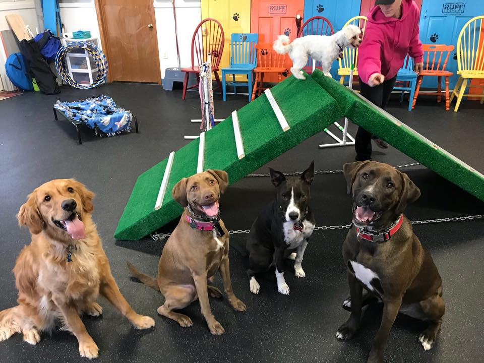Ruff Academy Dog Training & Boarding