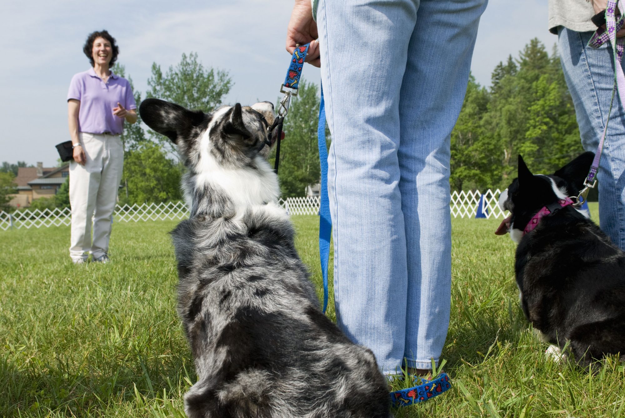 Yappy Hour