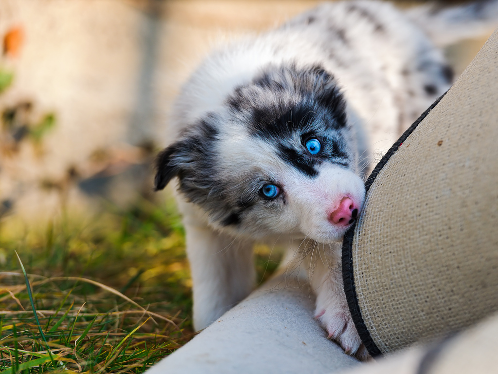 Workshops