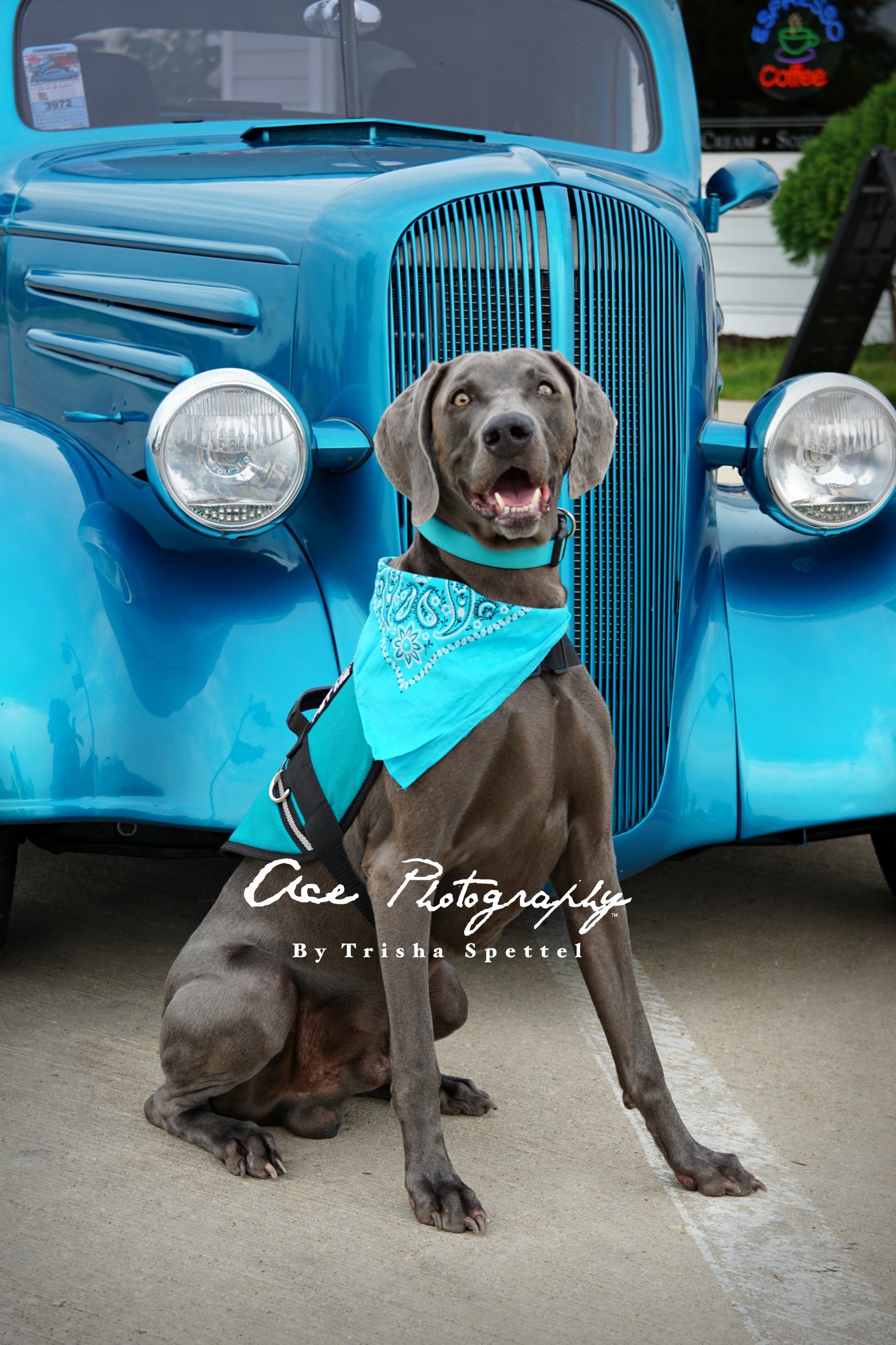 27629218_1695459233810374_8375354060649855519_o