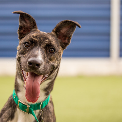 general play group-2