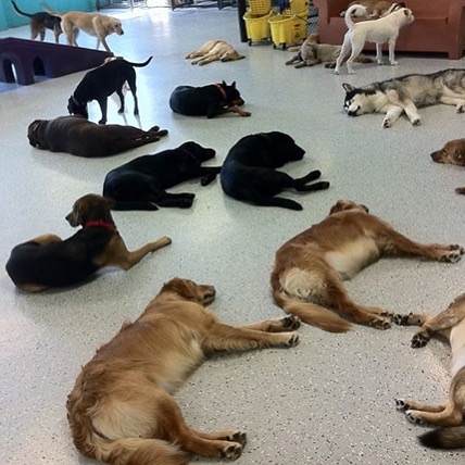 79247284_2841951019151177_3010337037258588160_n