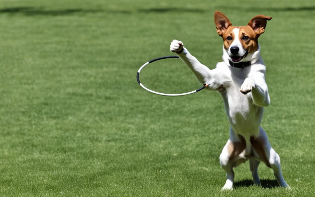 Showcasing Tricks: The Art of Dog Trick Training